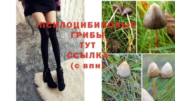 не бодяженный Няндома