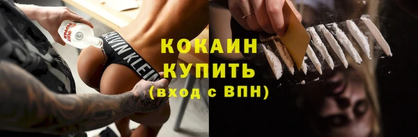 шишки Нягань