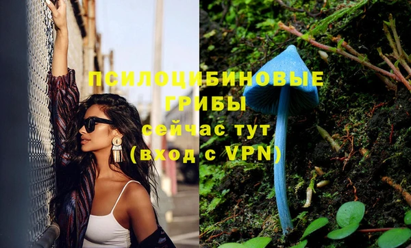 стафф Нязепетровск